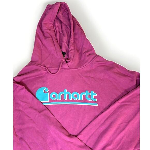 Carhartt Tencel Fiber Series Women’s 3x Loose Fit Pink Graphic Hoodie NWT - Picture 1 of 8